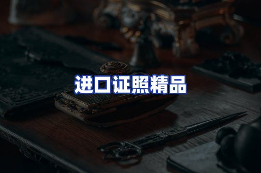 进口证件页面制证